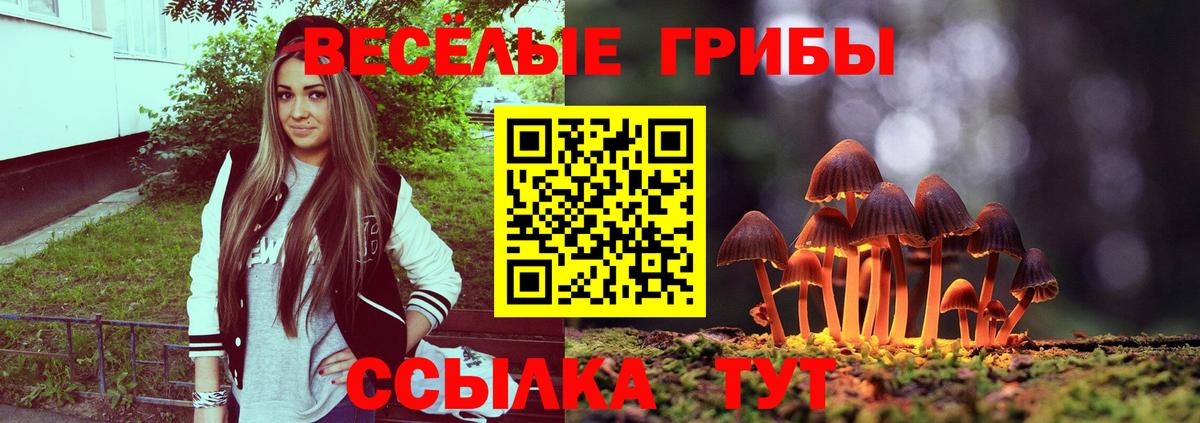 Галлюциногенные грибы ЛСД  Вход с VPN  Томск 